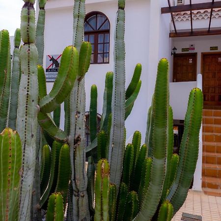 Las Bouganvillas 1 Bed Apartment In Costa Adeje Екстер'єр фото