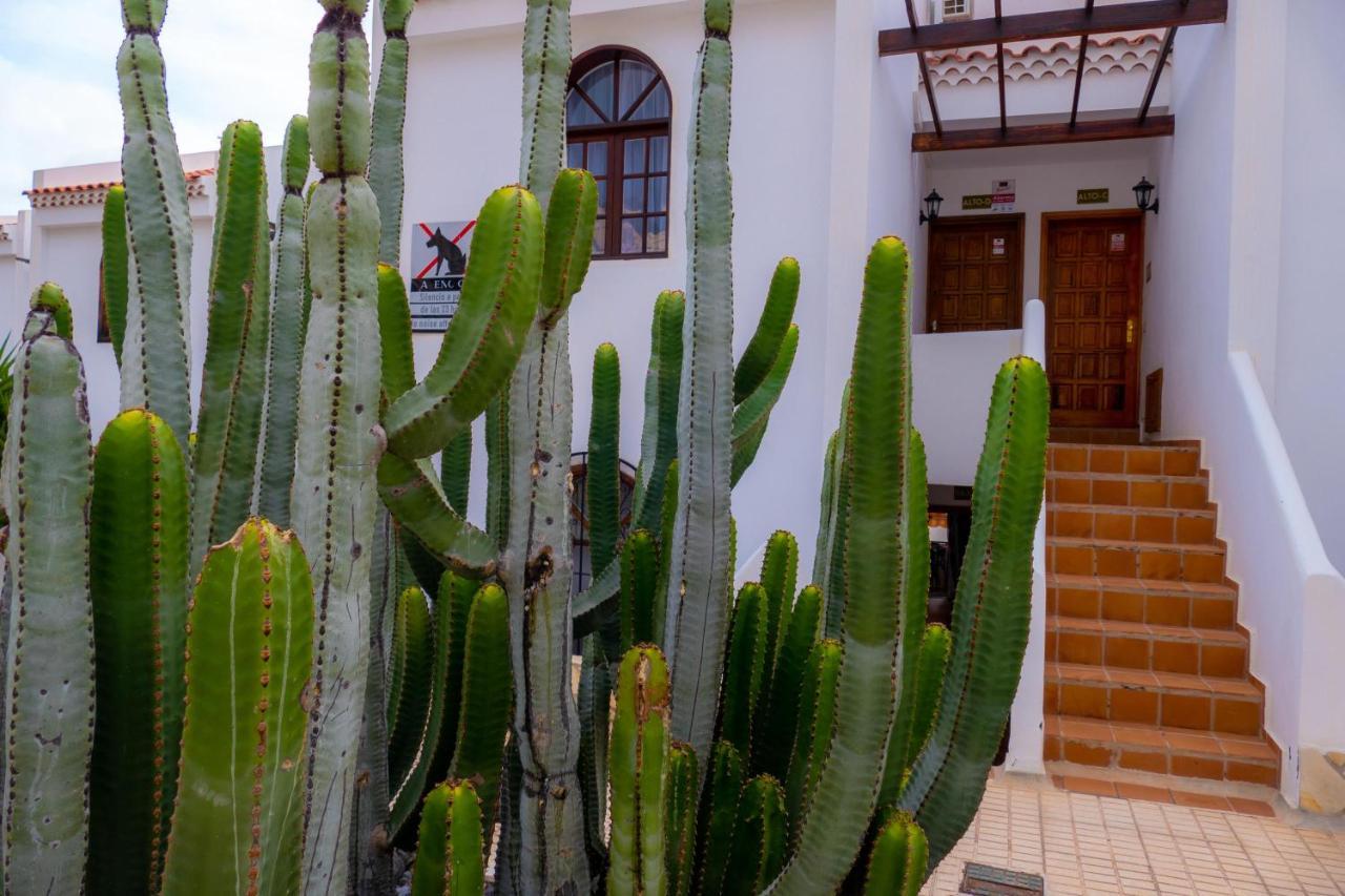 Las Bouganvillas 1 Bed Apartment In Costa Adeje Екстер'єр фото
